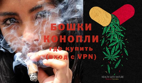 винт Алексин