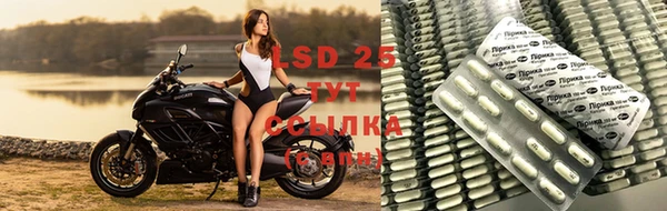 винт Алексин