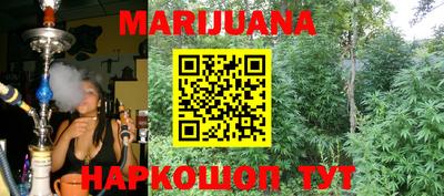 стафф Майкоп