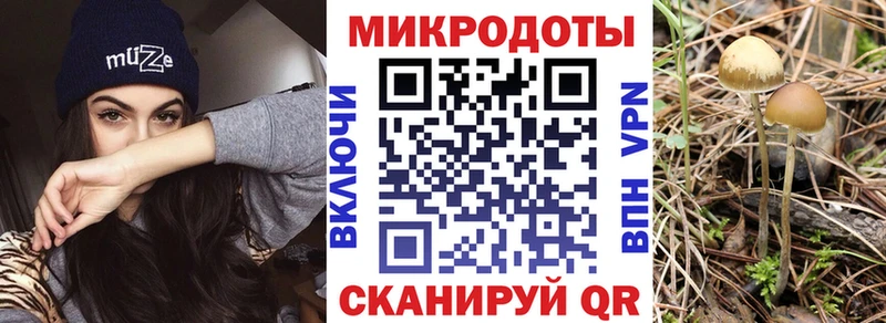 Галлюциногенные грибы мицелий  Октябрьский 