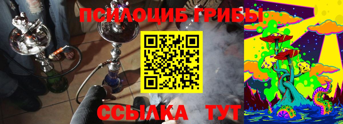 Псилоцибиновые грибы Psilocybine cubensis  Вход с VPN  Октябрьский  Галлюциногенные грибы Psilocybine cubensis 